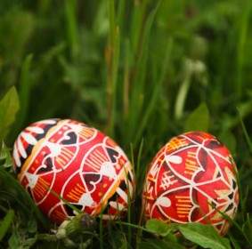 Huevos De Pascua En La Hierba