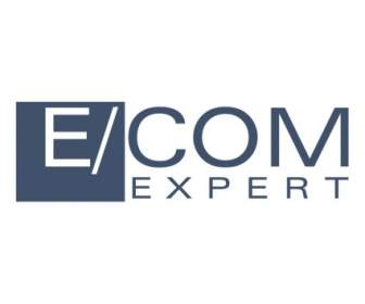 ECom-Experte
