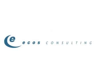 Ecos 컨설팅