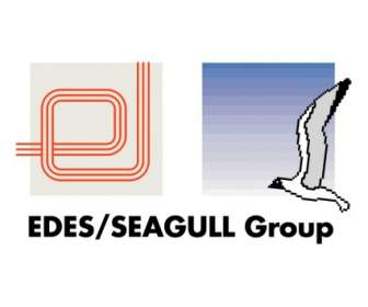 Edes Seagull Group
