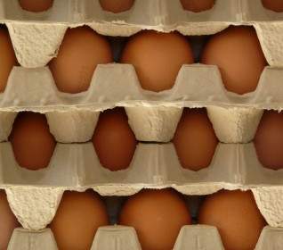 eggs egg box food