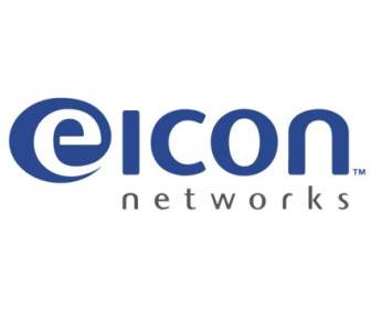 Eicon 네트워크
