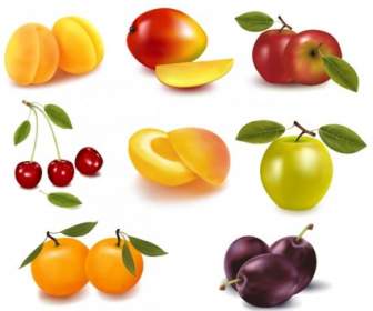 Oito Tipos De Vetor De Frutas