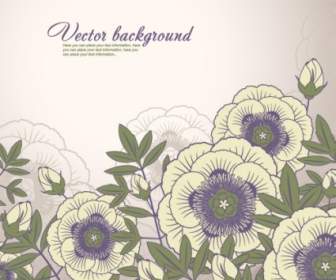 Elegant Floral Background Vector