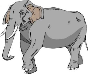 Clipart De Elefante