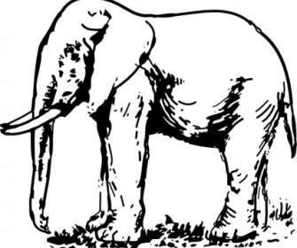 Zeichnung Elefant-ClipArt