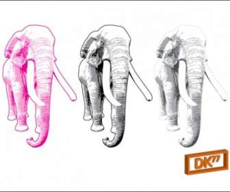 Ilustración De Elefante