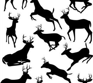 Elk Black And White Silhouette Vector