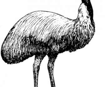 Emu 動物鳥の切り貼り芸術