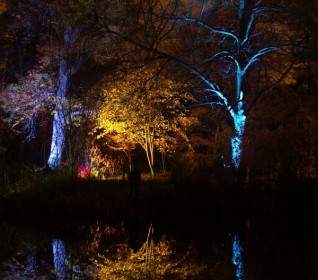 Parque De Inglaterra Gran Bretaña Syon Enchanted Woodland