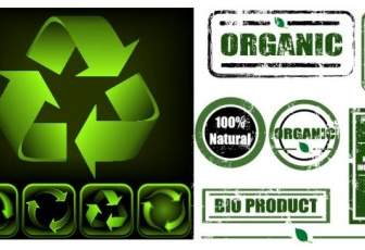 Environmental Labeling And Environmental Icon Vector Nostalgia