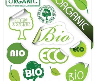 Environmental Theme Stickers Icon Vector