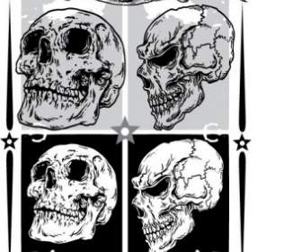 Epic Skull Pack Samples