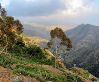 Valle De Las Montañas De Eritrea