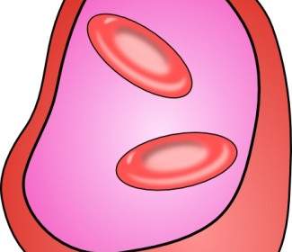 Clipart De Eritrócitos Células Vermelhas Do Sangue
