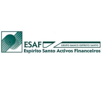 Esaf Espirito ซาน Activos Financeiros