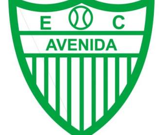 Esporte Clube Avenida De Santa Cruz Do Sul-rs