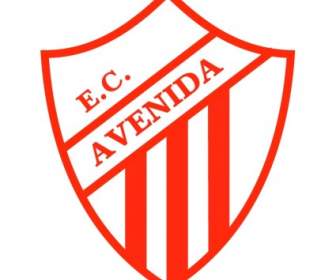 Esporte Clube เอเว็นนิดาเด Viamao ศ.