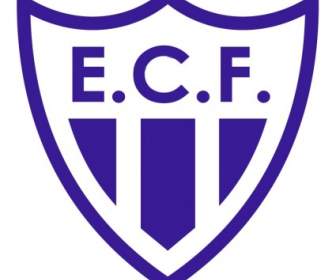 Esporte Clube Floriano De Novo Hamburgo ศ.