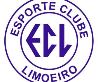 Esporte Clube Limoeiro เด Limoeiro ทำเหนือ Ce