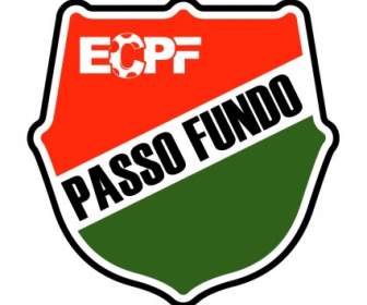 Esporte Clube Passo Fundo เดอ Passo Fundo ศ.