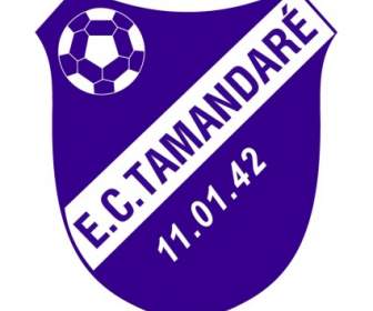 Esporte Clube Tamandare เด Mostardas ศ.