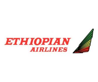 에티오피아 항공사