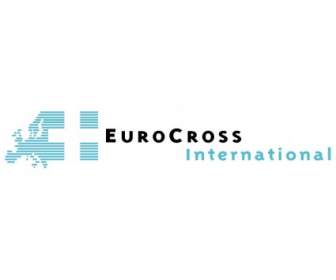 Eurocross นานาชาติ