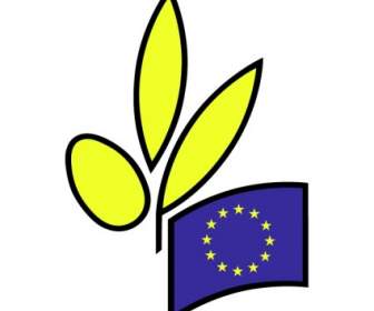 Европа оливковое