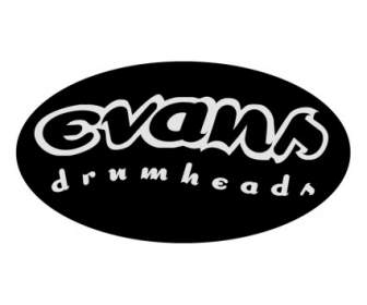 Drumheads อีวานส์