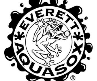 Everett Aquasox