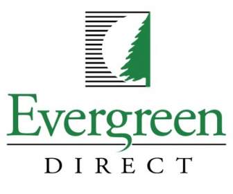 Evergreen Direkte