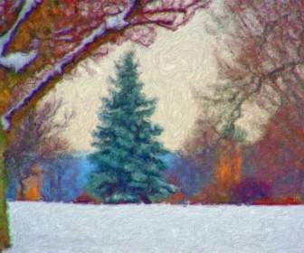 árbol De Hoja Perenne En Nieve Pintura