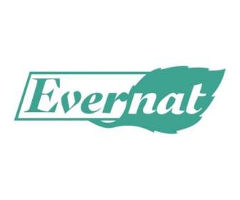 Evernat