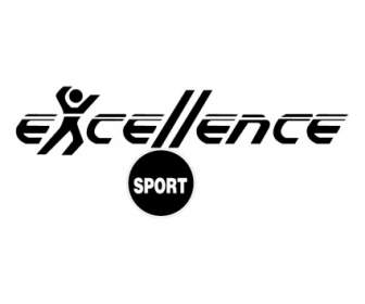 Excellence спорт