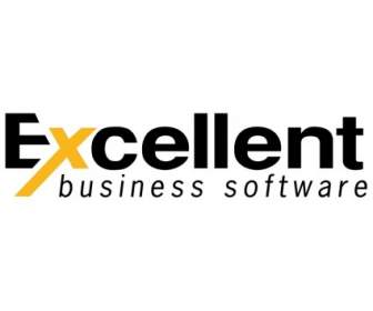 Exzellente Business-software