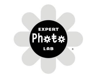 Expert Fotolabor