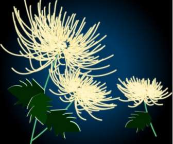 Exquisite Chrysanthemum Vector