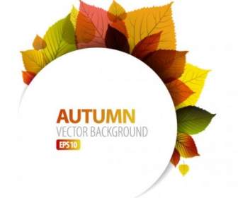 Exquisite Leaf Background Vector