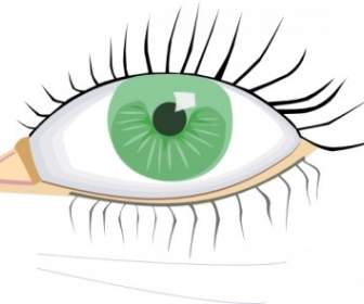 Eye Clip Art