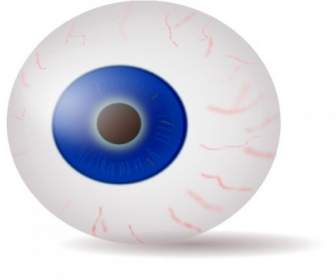 ClipArt Realistico Bulbo Oculare Blu