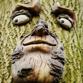 Face On The Tree