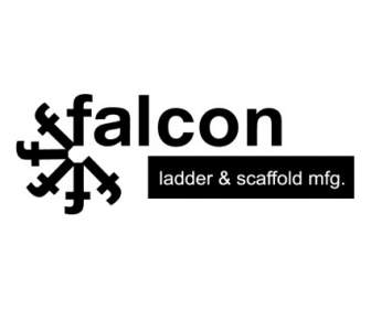 Falcon Ladder
