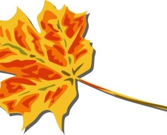 Clipart De Folhas Coloridas De Outono