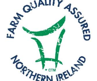 Azienda Agricola Di Qualità Garantita Irlanda Del Nord