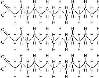Molécula De Grasa