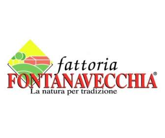 ファットリア Fontanavecchia