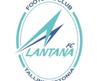 FC Lantana Tallinn