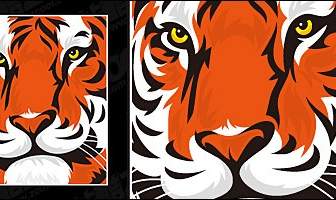 Featured Tiger Head Vector Material