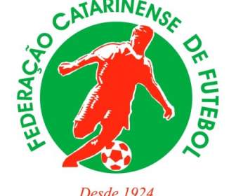 Federacao Catarinense デ Futebol Scbr